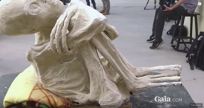 "Maria", the "humanoid" mummy from the Gaia.com web series Unearthing Nazca (Screenshot from Gaia.com)