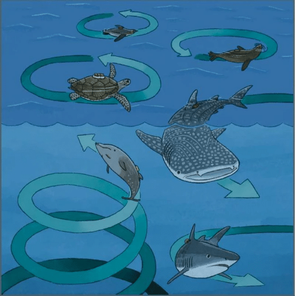 Grafico de animales marinos nadando en círculo