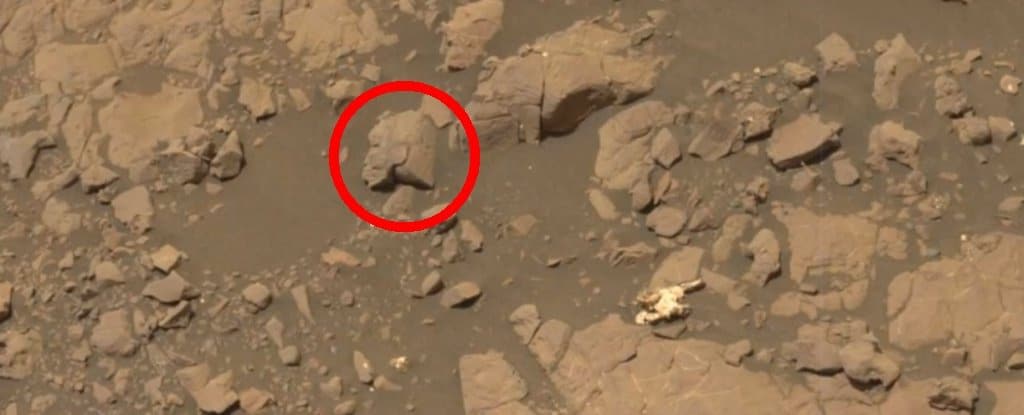 cabeza en las rocas de Marte